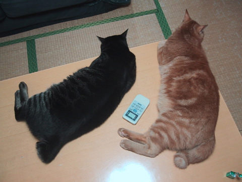 02.jpg